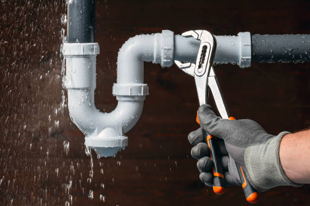 Professional Plumbing technician working in Arena, WI